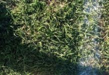 Así se juega la Sexta Fecha del Apertura en Mayores de la Liga